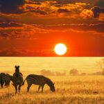 Kruger National Park