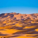 Sahara Desert