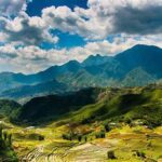 Sapa