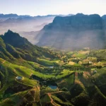Stellenbosch